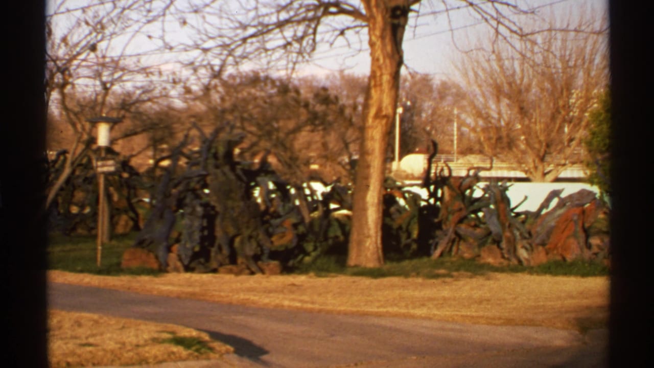 Similar roadside view with tree trunks, dry grass, pale railing, and abstract sculpture forms.