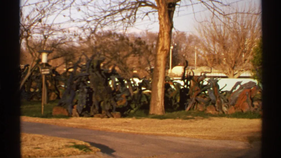1972 New Mexico frame with tree trunks, winter-bare branches, dry roadside grass, pale railings, and dark sculptural forms in the background.
