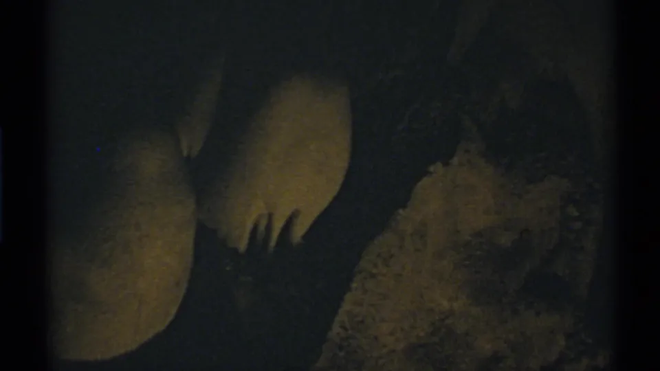 1972 cave interior frame with dimly lit rounded formations, dark surrounding rock, and visible 8mm grain from the low-light setting.