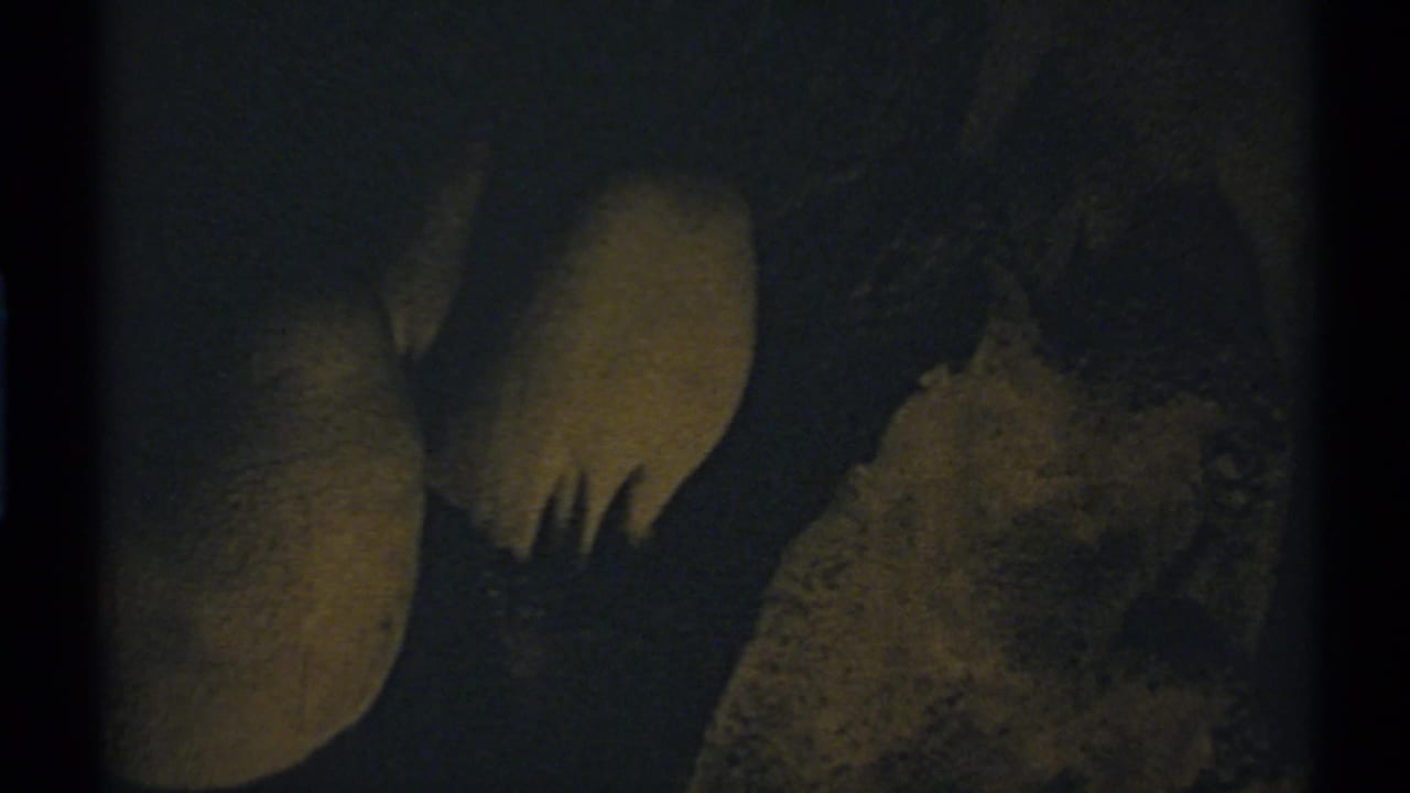 Dim nighttime frame with a faintly lit tree or rock-like form against darkness.