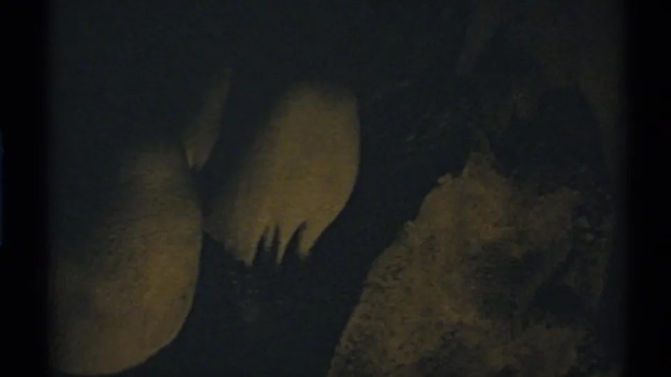 1972 New Mexico 8mm frame showing an indistinct tree or rock-like shape barely illuminated in deep night shadow.