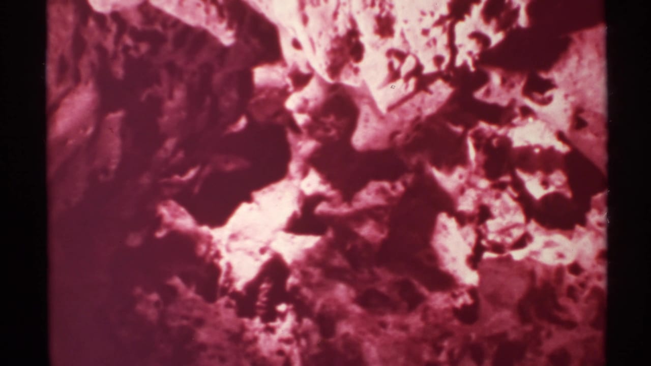 Jagged rock surface in pink-magenta tones with bright highlights and deep shadows.
