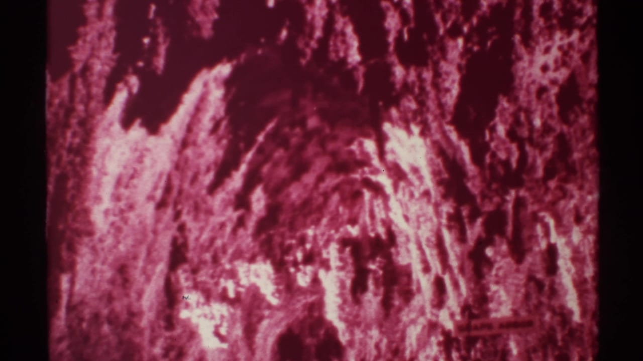 1972 New Mexico 8mm frame showing a red-magenta cave interior with jagged rock texture and a partially visible Grape Arbor sign.