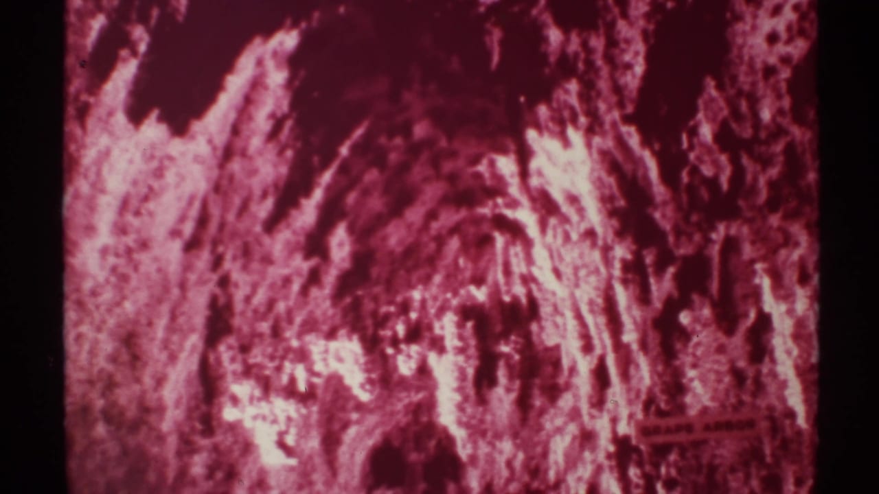 Magenta cave interior with rough walls, bright highlights, and a Grape Arbor sign at right.