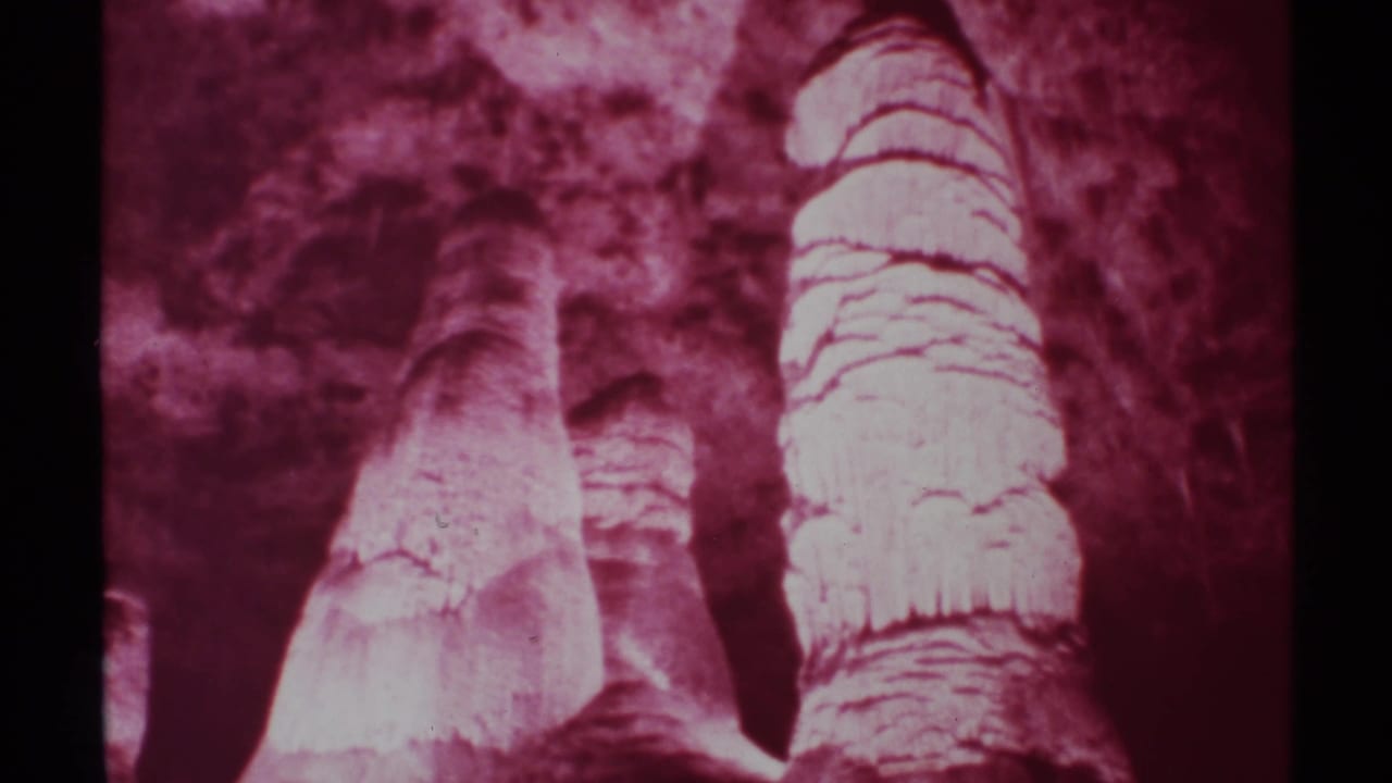 1972 New Mexico 8mm frame showing three thick palm trunks rising from a low angle against cave-like rock in magenta infrared color.