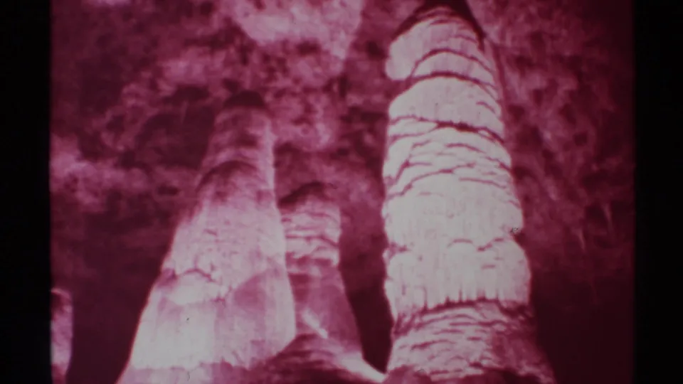 1972 New Mexico home-movie frame with palm trunks and rocky background rendered in purple-magenta infrared tones.