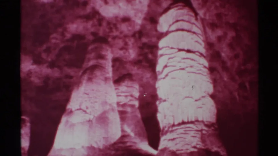 Low-angle 1972 New Mexico 8mm view of thick palm trunks, rough stone surfaces, and strong magenta infrared tonality.
