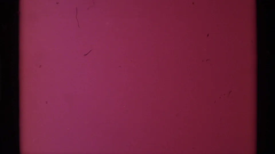Magenta-tinted 8mm transition or obscured frame with dark film borders and scattered specks visible.