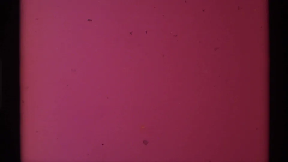 Obscured magenta 8mm frame, likely a transition or damaged exposure, with visible grain and dark edge shadow.
