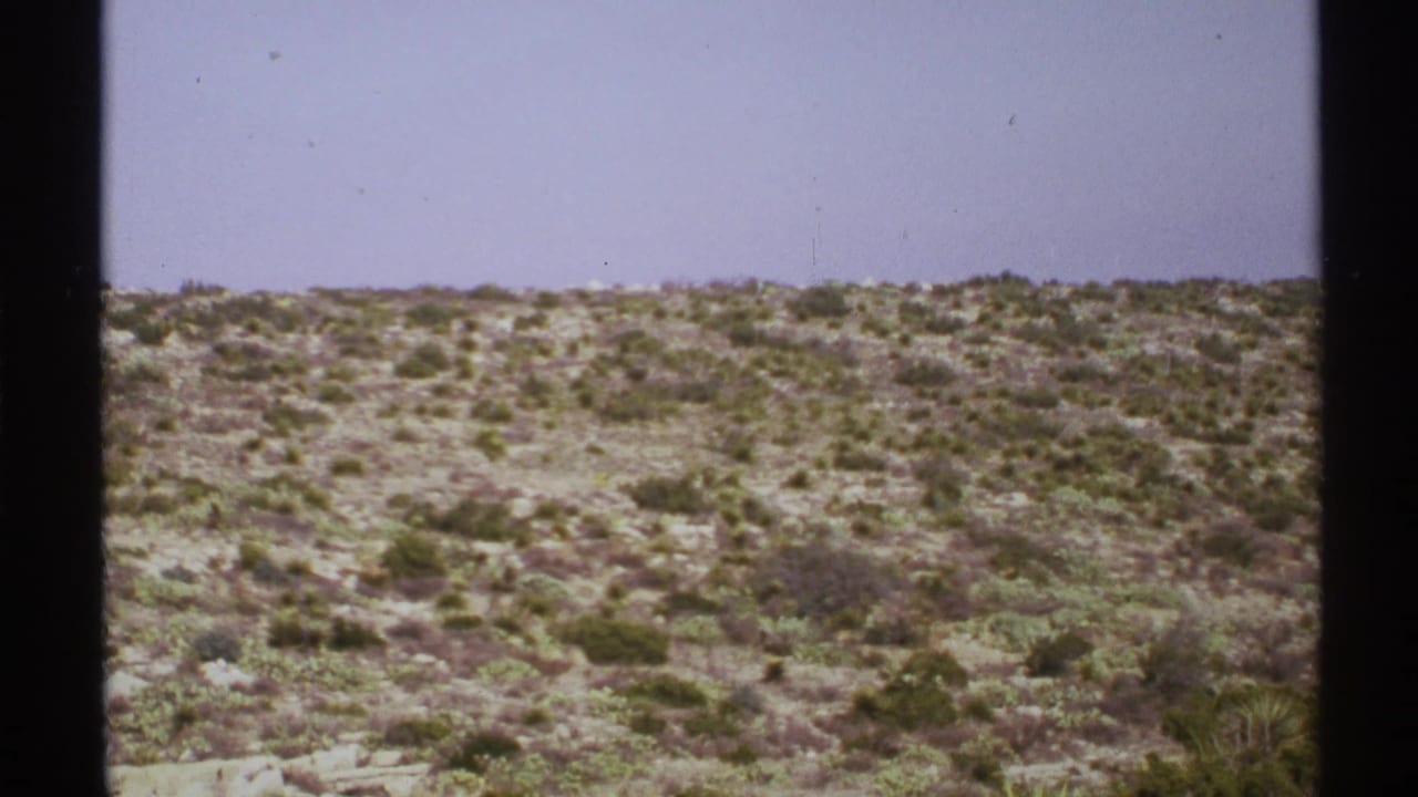 Brush-covered desert hillside under a pale sky with dark film gate edges.