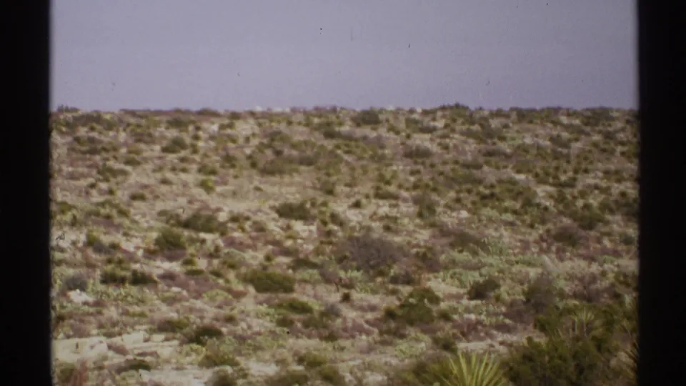1972 New Mexico home-movie frame of a dry hillside with low brush, rocky ground, and a yucca-like plant near the lower right edge.
