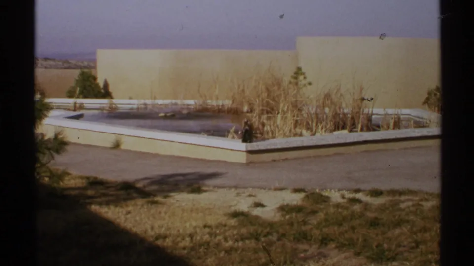 Wider 1972 New Mexico park view showing a low concrete pool or planter area, dry grasses, walkways, pale walls, and open sky.