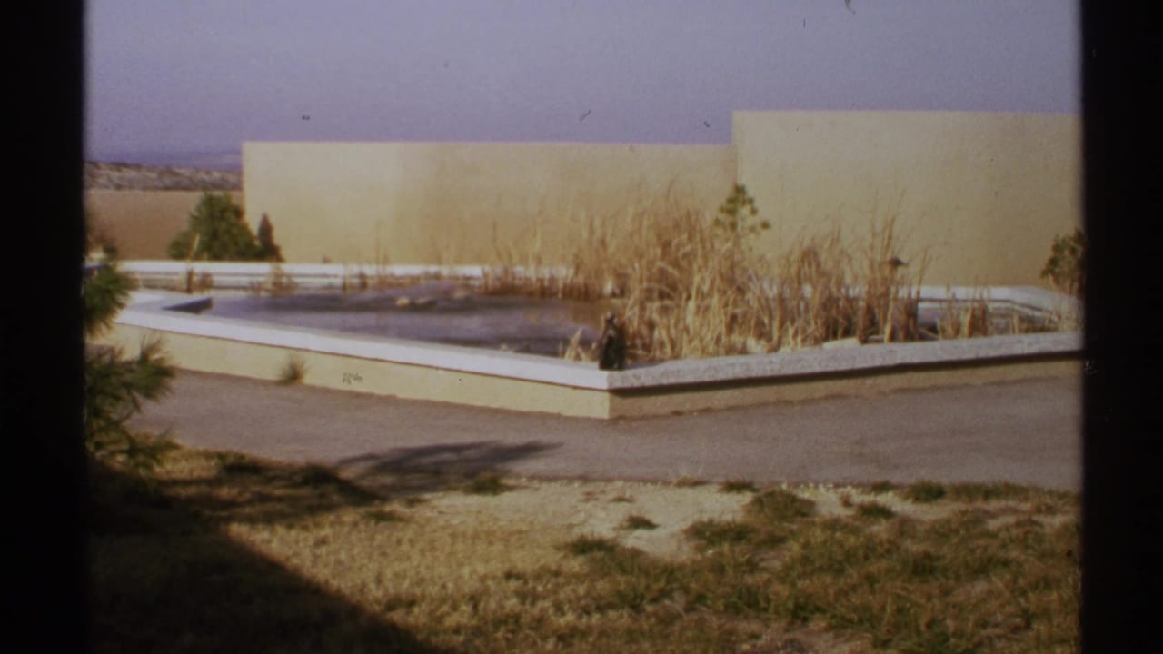 Overgrown rectangular fountain beside low beige walls and dry grass.