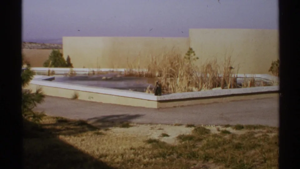 1972 New Mexico home-movie frame showing an overgrown rectangular fountain area, beige walls, dry ground, and sparse landscaping.