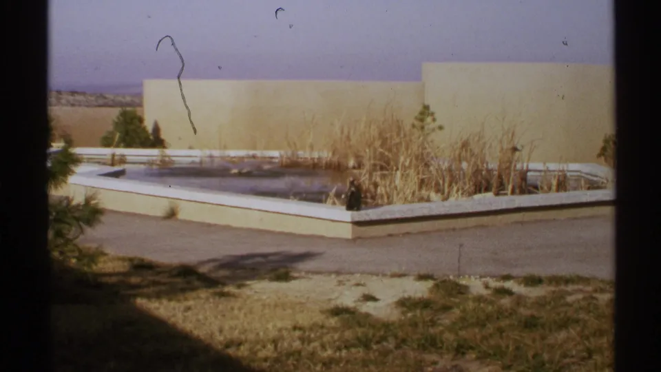 1972 8mm frame of the same abandoned-looking New Mexico fountain area, with reeds, dry ground, pale walls, and visible film wear.