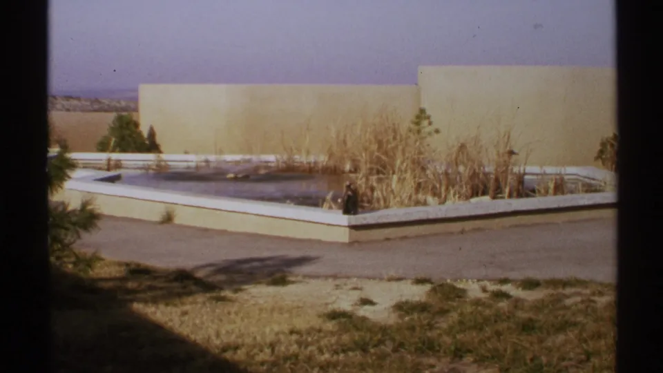 The closing frame shows the low fountain or basin, tall dry reeds, beige background wall, and sparse Southwestern landscaping.