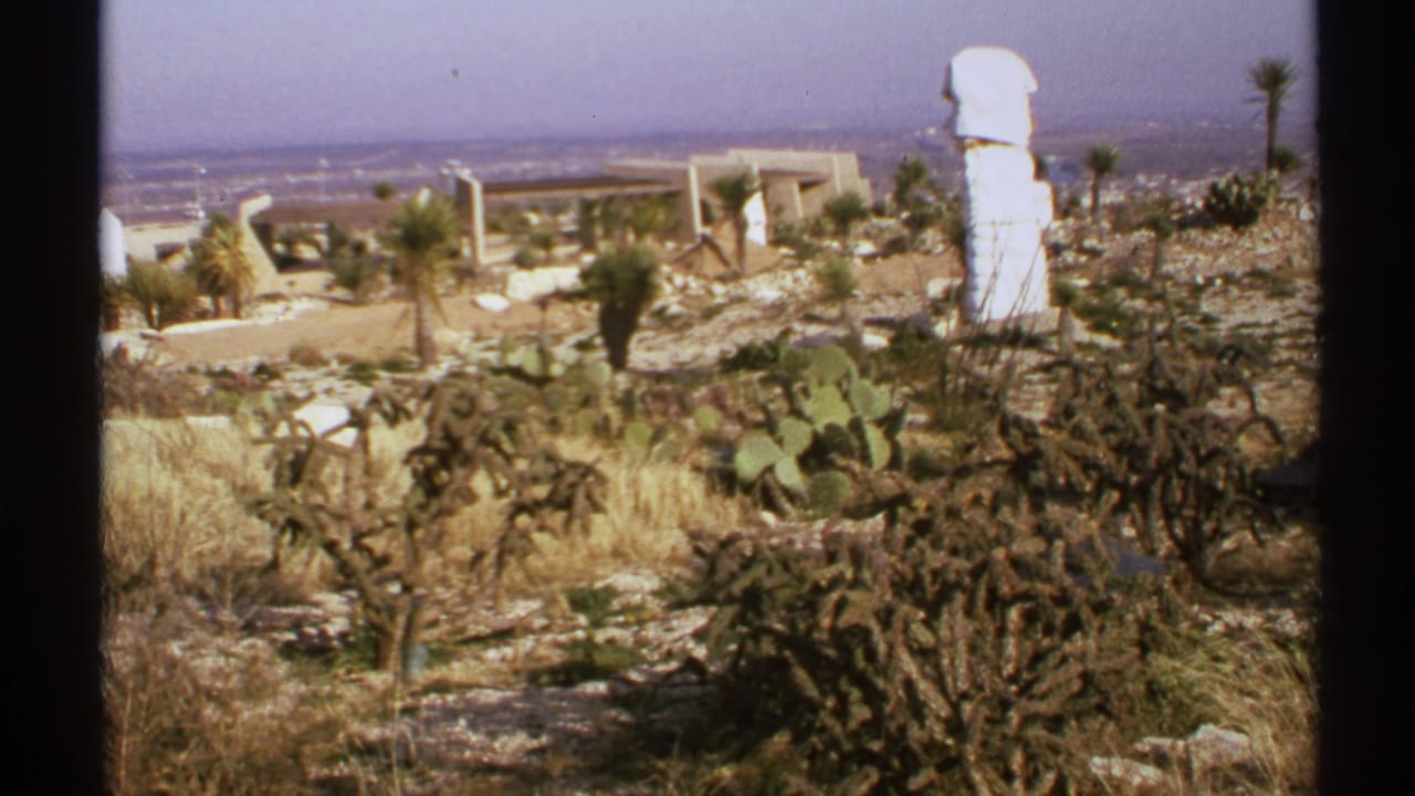 Rocky desert garden with cacti, dry grasses, palm trunks, low structures, and a white sculpture.