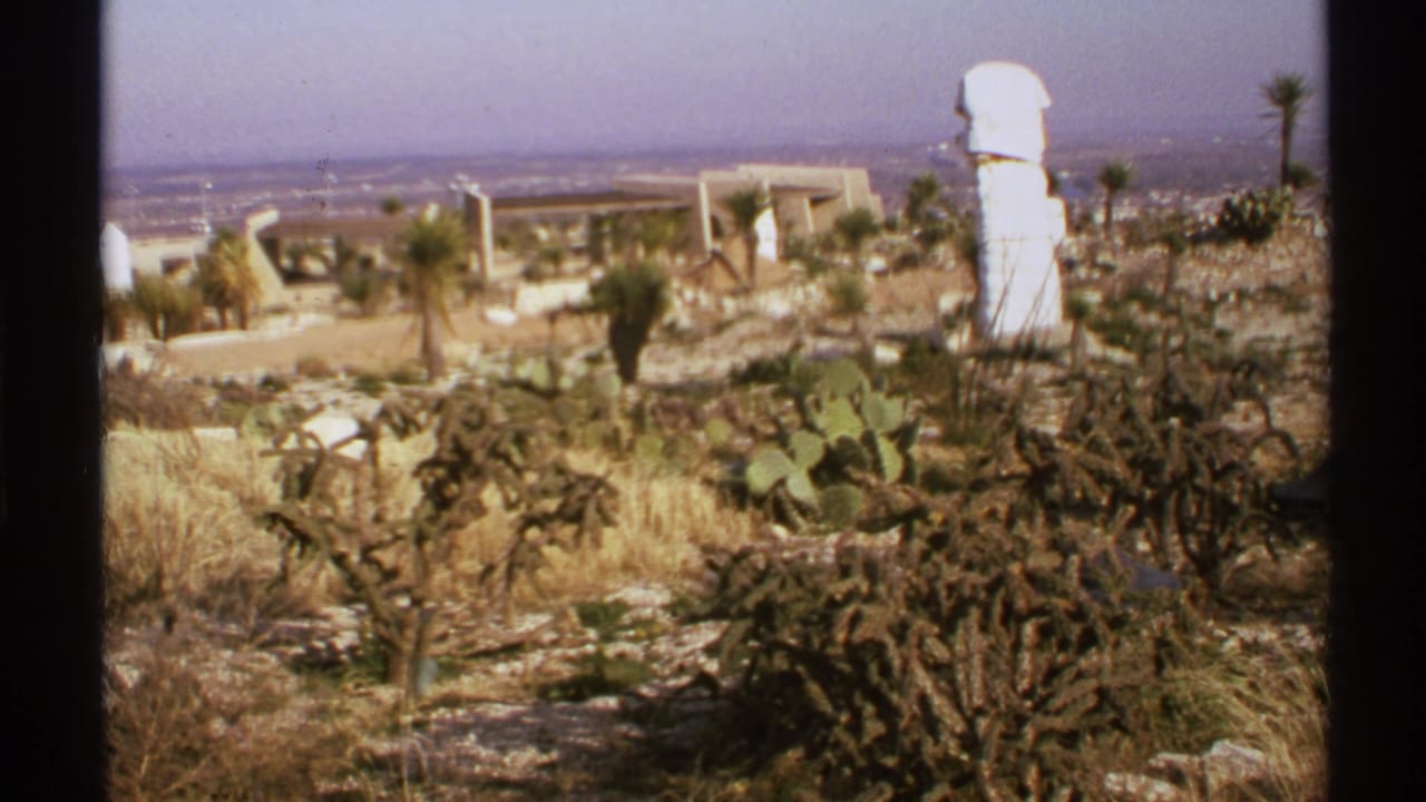 1972 New Mexico desert garden scene with cactus-covered rocky ground, palm trunks, low structures, and a white outdoor sculpture under hazy sky.