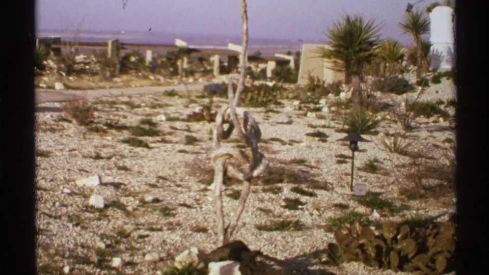 A dry New Mexico landscape view shows gravel, cacti, sparse plantings, bare branches, and low distant structures in 1972 home-movie footage.