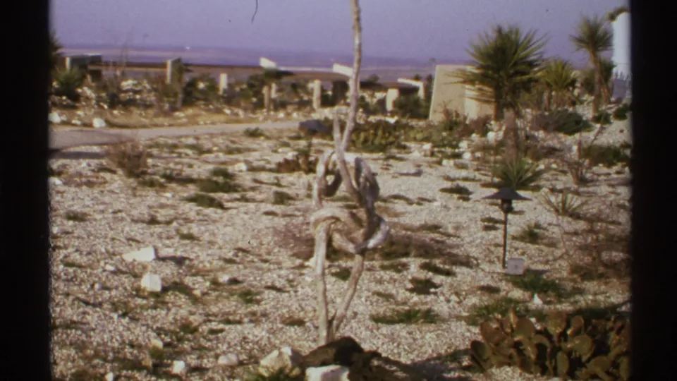 The closing frame holds on arid landscaping with cacti, gravel, sparse plants, bare branches, and low structures under a pale sky.