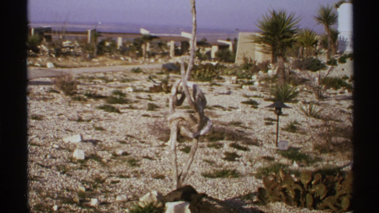 Gravel desert yard with cactus, yucca plants, a weathered wooden form, low walls, and distant road area.