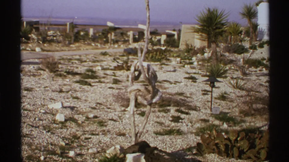 1972 New Mexico 8mm frame showing a dry gravel landscape with cactus, yucca-like plants, a weathered sculptural trunk, and low structures beyond.