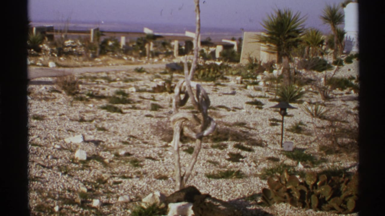 Similar desert yard view with gravel, cactus pads, yucca plants, low walls, and distant buildings under a pale sky.