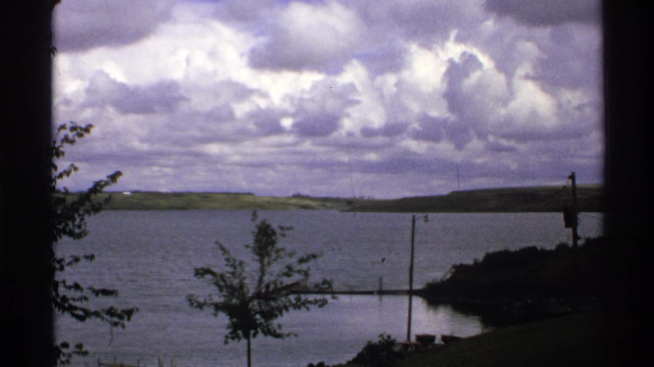 Lake and cloudy sky with a small tree, shoreline, dock, and distant low hills.