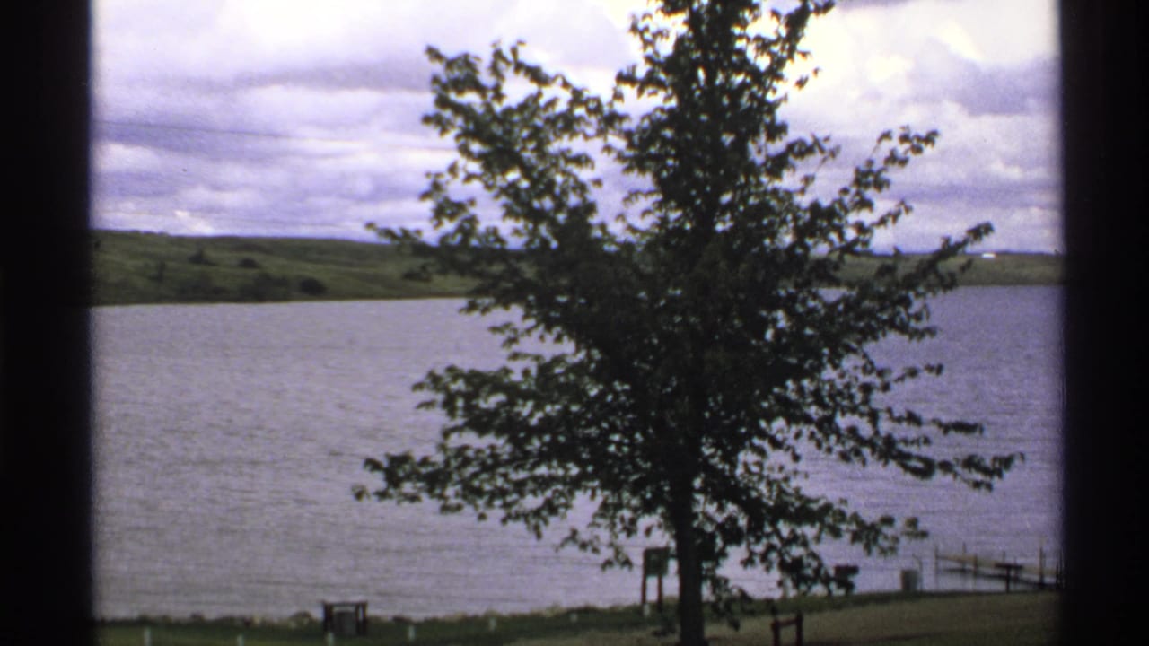 Tree beside a lake with cloudy sky, green hills, and dark foreground frame edges.
