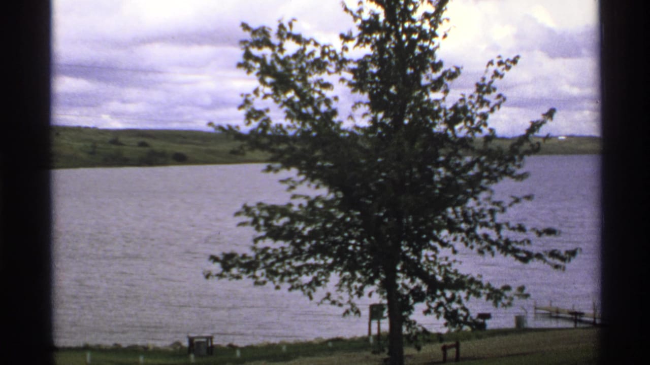 Large shoreline tree in front of a lake, distant hills, cloudy sky, and dock area.