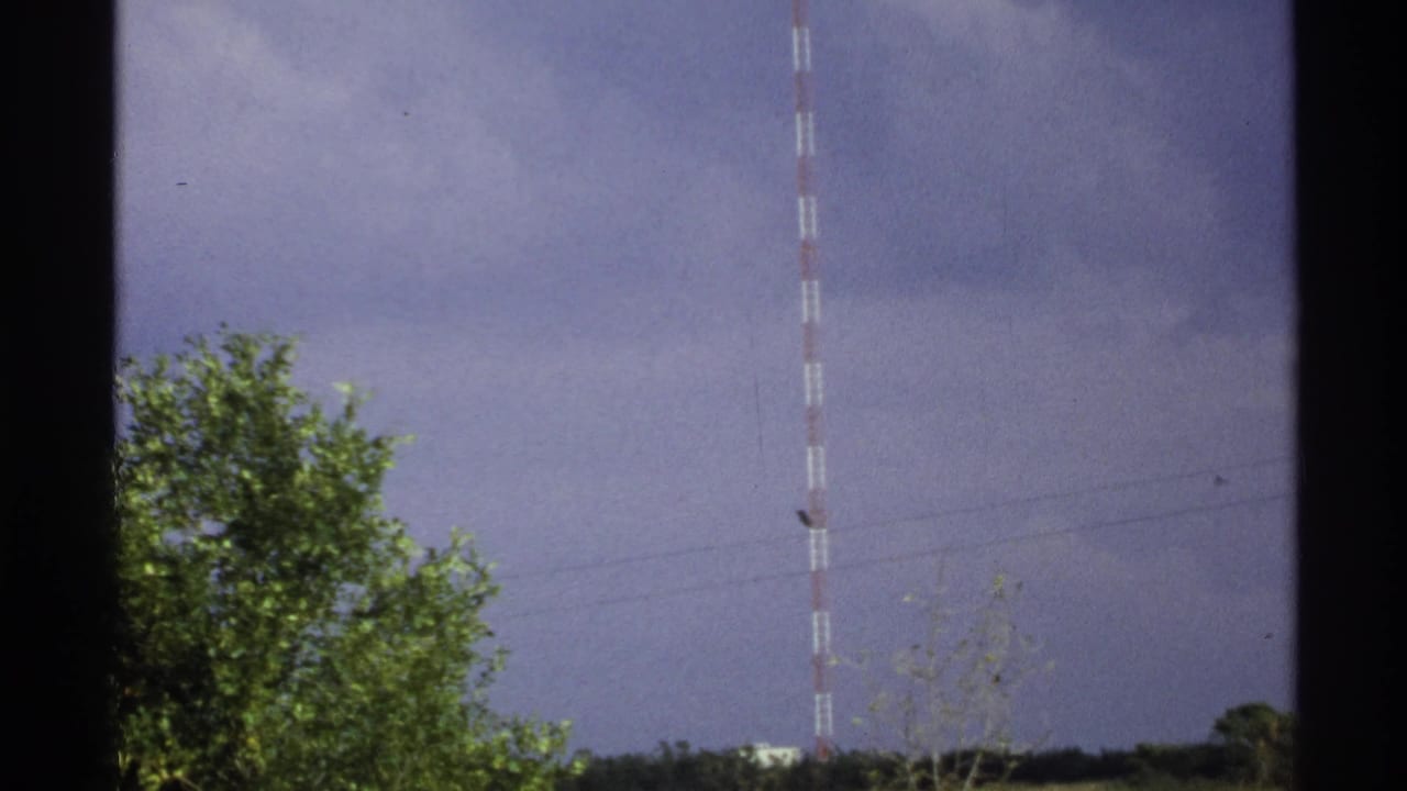 Striped transmission mast rising behind trees under an overcast sky.