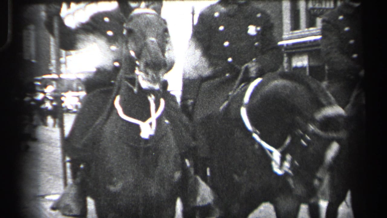 Close view of horses and mounted officers passing near the camera.