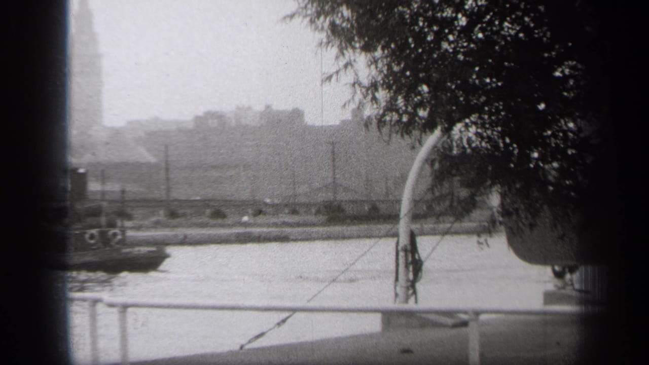 Black-and-white river view with railing, tree branches, distant buildings, and a tall tower.