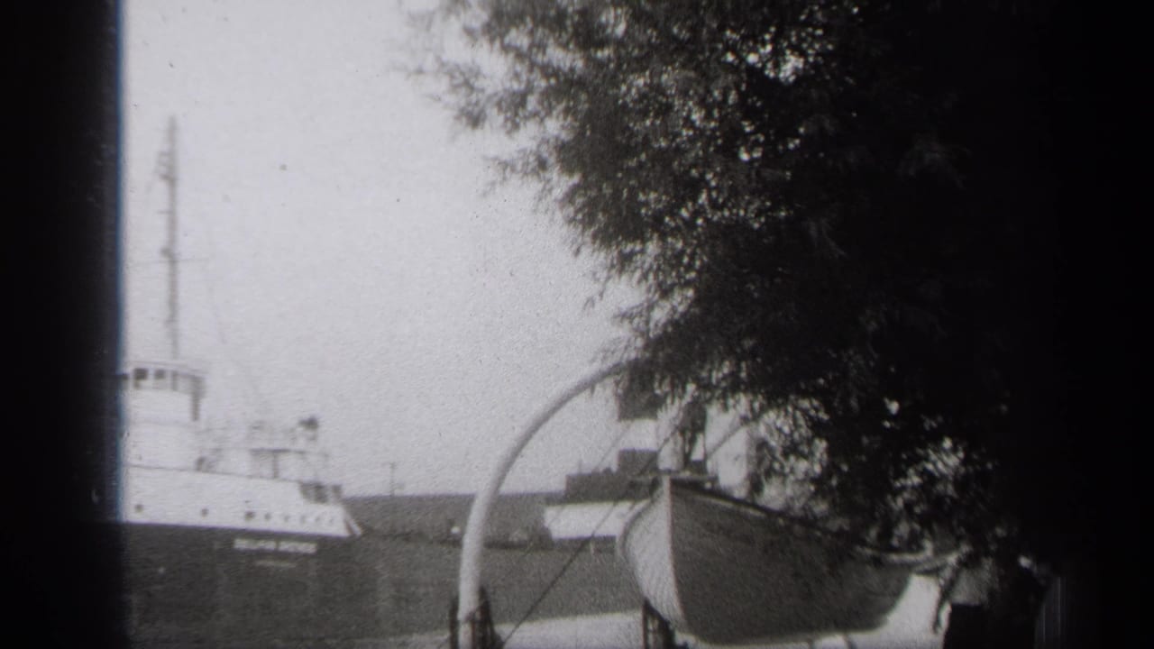 Large vessel on the water behind a foreground boat and overhanging tree branches.