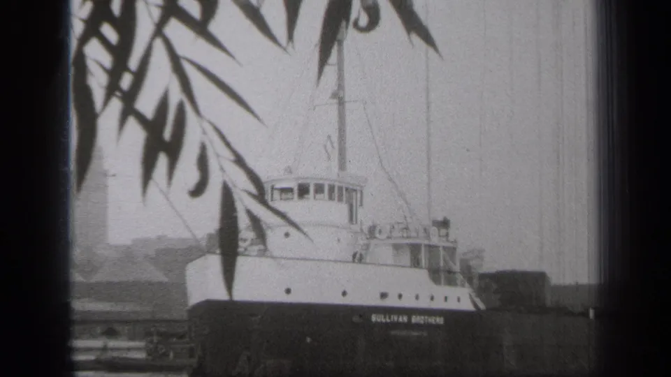 The final frame keeps the Cleveland vessel centered behind silhouetted leaves, with calm water and a muted shoreline in the background.