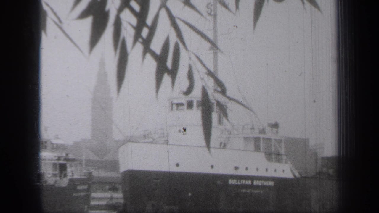 Docked ship viewed through leaves, with smaller boats and waterfront structures nearby.