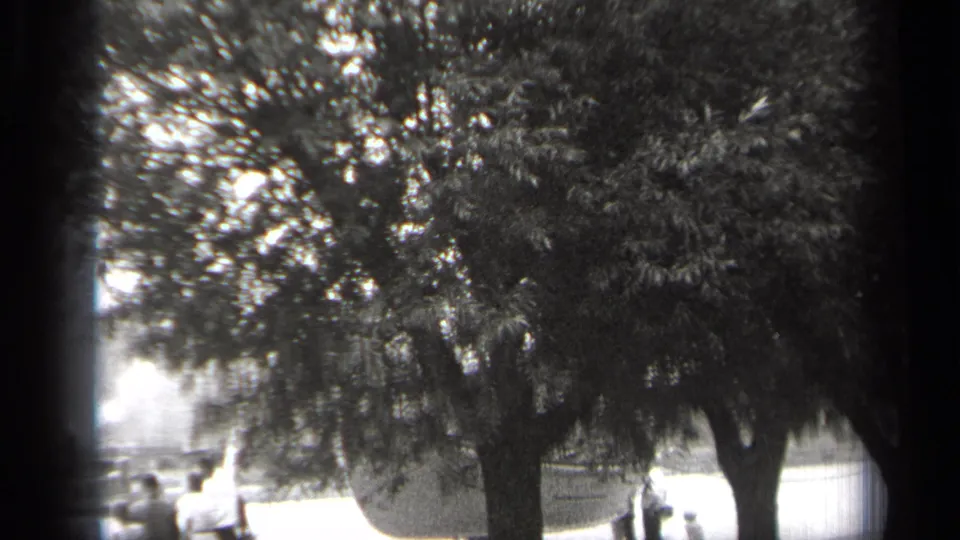 1938 Cleveland shoreline view with a large tree obscuring part of the ship and several people gathered near the dock area.