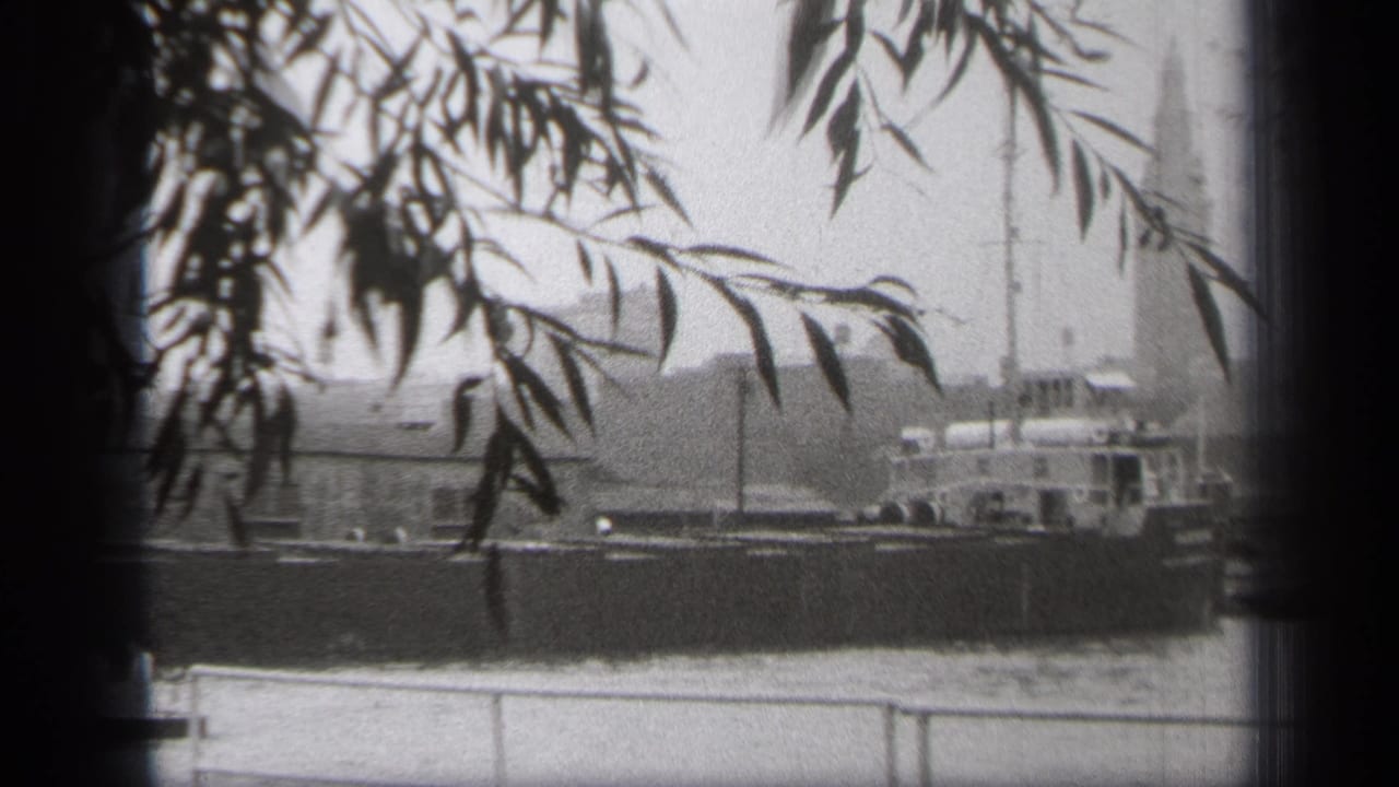 Large vessel on a river seen through dark tree branches and vertical foreground shadows.