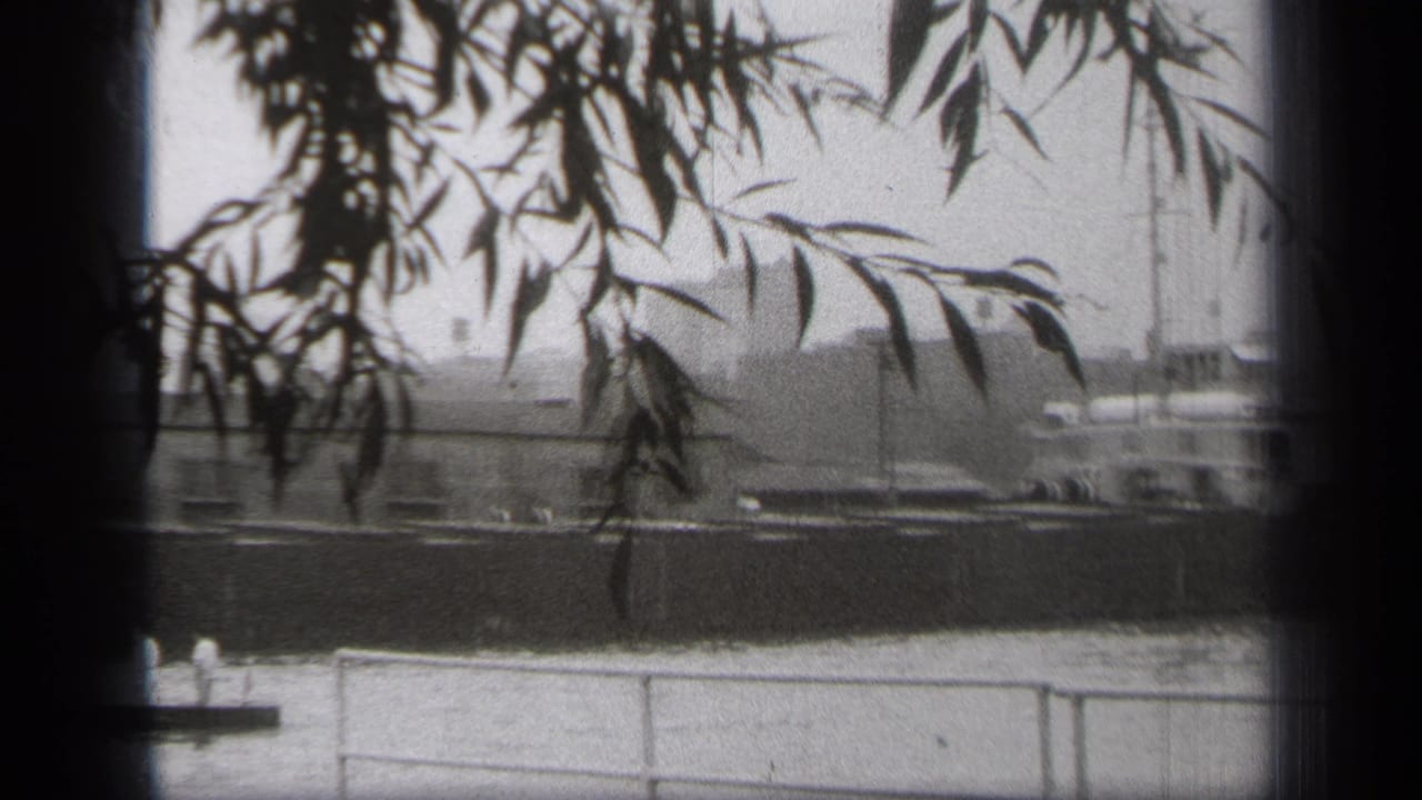 Large boat on the river with branches overhead and a low railing in the foreground.