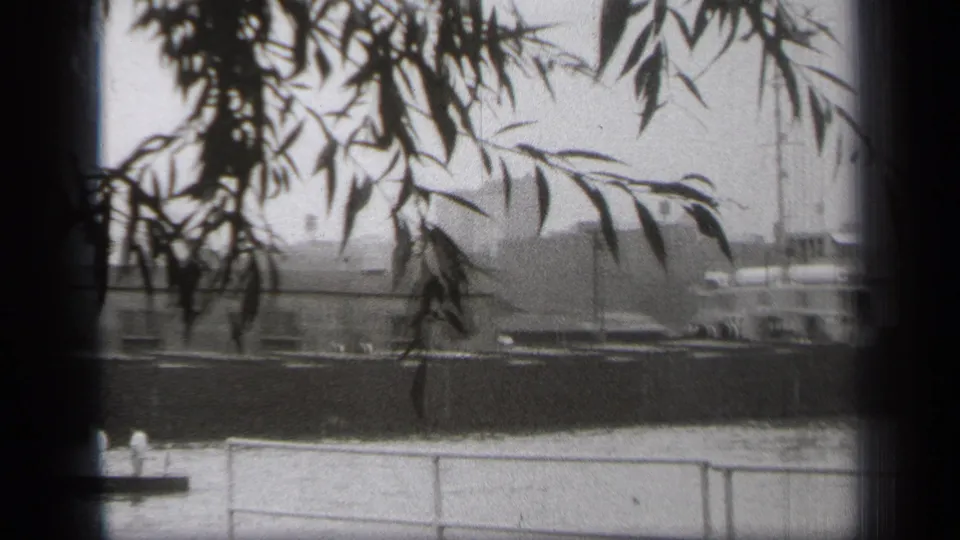 Cleveland river scene from 1938 showing a large vessel passing behind overhanging leaves and shoreline railings.