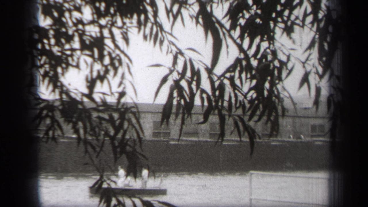 1938 Cleveland waterfront view framed by dark tree branches, with a small boat on calm water and a long shoreline building beyond.
