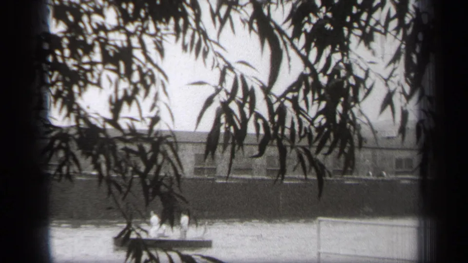 1938 Cleveland waterfront view framed by dark tree branches, with a small boat on calm water and a long shoreline building beyond.