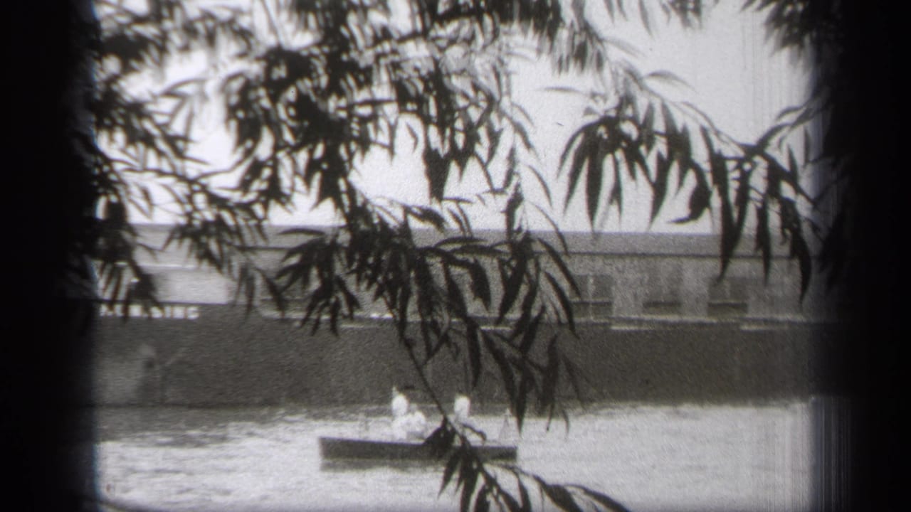 A small boat crosses the water in front of a long building, partly obscured by branches.