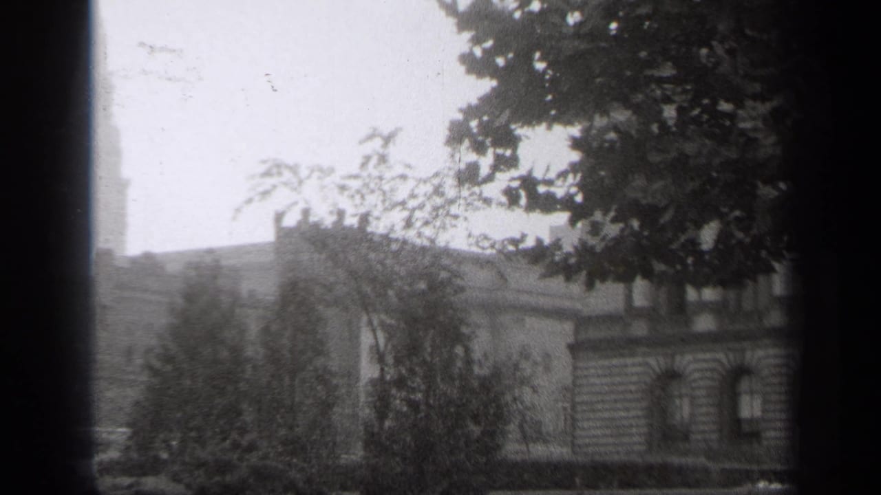 Trees and masonry buildings viewed through a window beside a dark vertical frame.