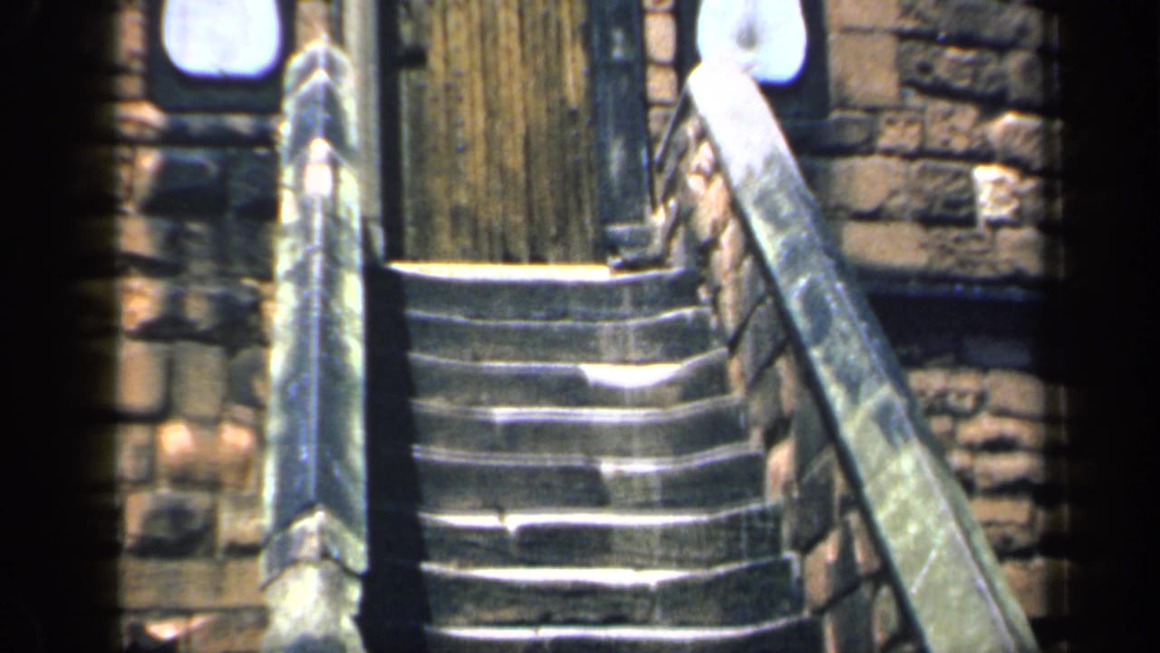 Stone staircase rising to a wooden door between brick and stone walls.