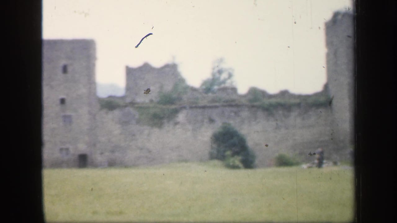 Castle wall and square tower with ivy, lawn, and tiny distant figures near the ruins.