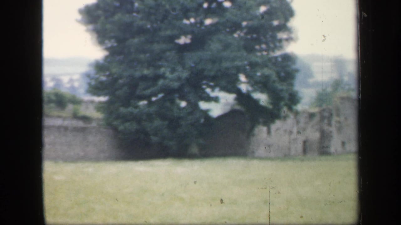 Large leafy tree and low stone ruins across a grassy field.
