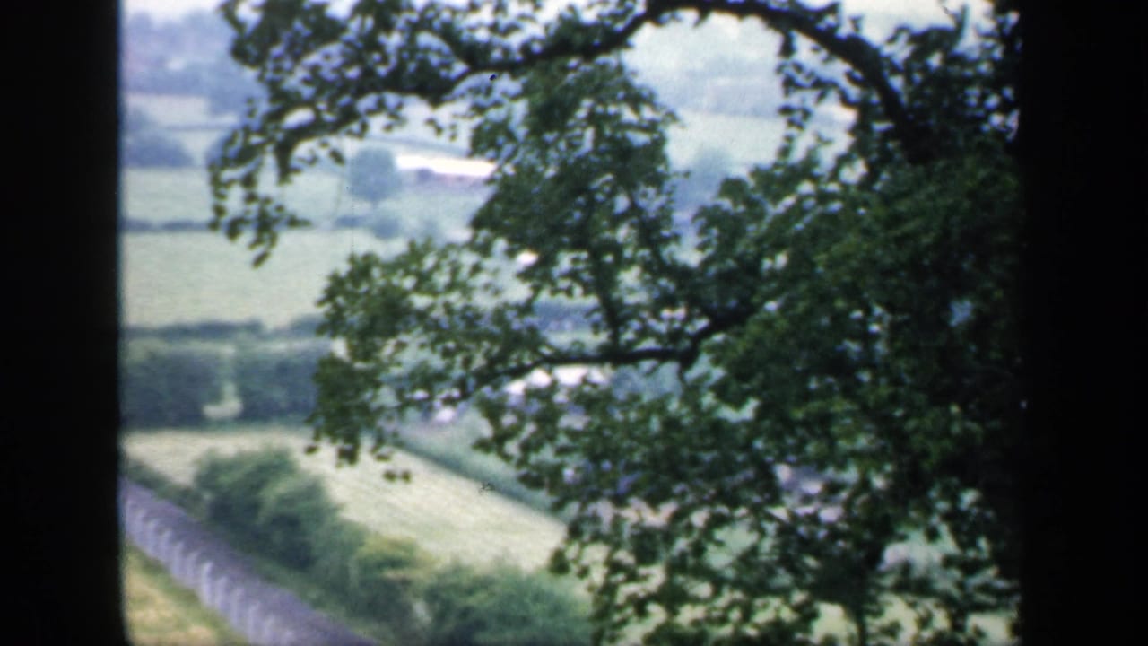 1949 England countryside view with tree branches in the foreground, green fields beyond, and a pale fence crossing the landscape.