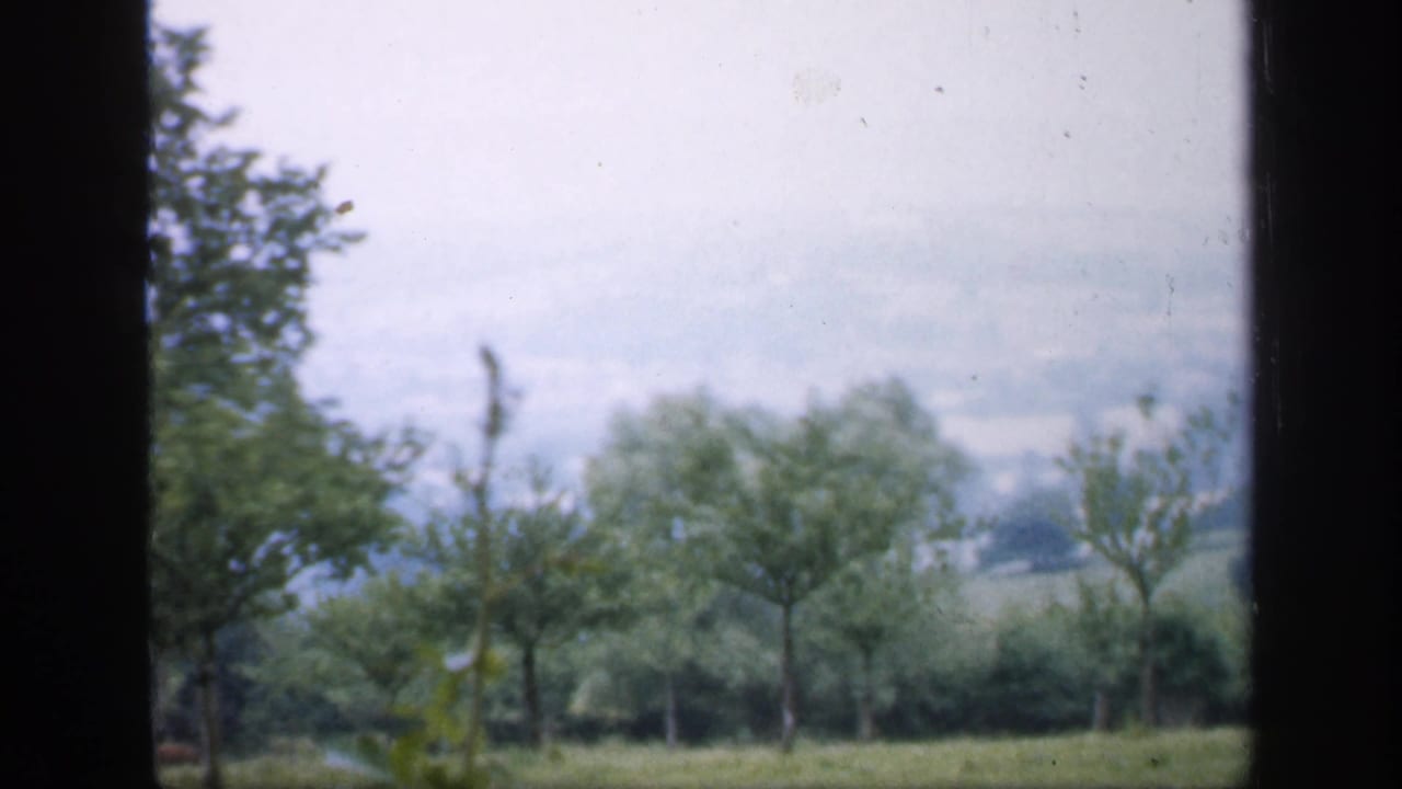 1949 England home-movie view of leafy trees, grass, and distant hills seen through a dark vehicle or window frame.