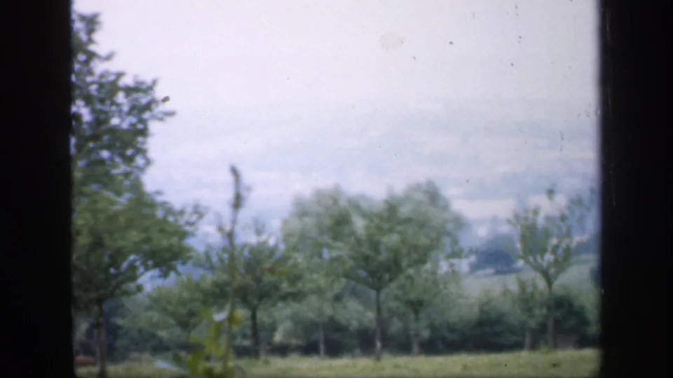 1949 England home-movie view of leafy trees, grass, and distant hills seen through a dark vehicle or window frame.